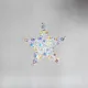 Star - Brooch Columba - 1